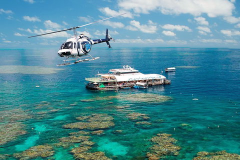 Great Barrier Reef Day Cruise From Cairns Including Snorkeling And Marine Biologist Presentation - Gold Coast Attractions 5
