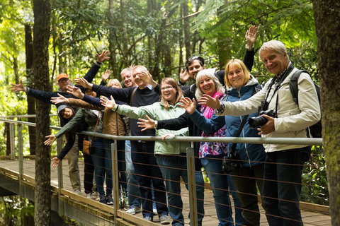 All Inclusive Blue Mountains Small-Group Day Trip From Sydney - Gold Coast Attractions 5