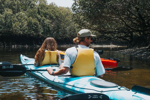 Kayak Tour In Adelaide Dolphin Sanctuary - Gold Coast Attractions 2