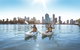 Brisbane Kayak Tour - thumb 0