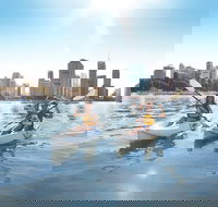 Brisbane Kayak Tour - Gold Coast Attractions