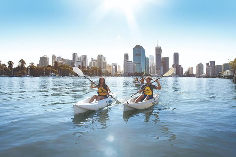 Brisbane Kayak Tour - Gold Coast Attractions 0