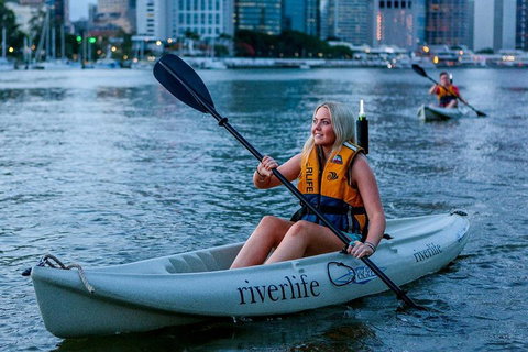 Brisbane Kayak Tour - Gold Coast Attractions 2