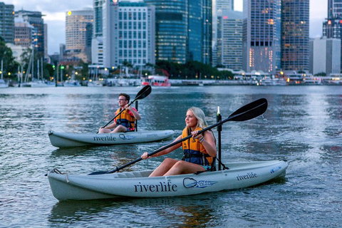 Brisbane Kayak Tour - Gold Coast Attractions 3
