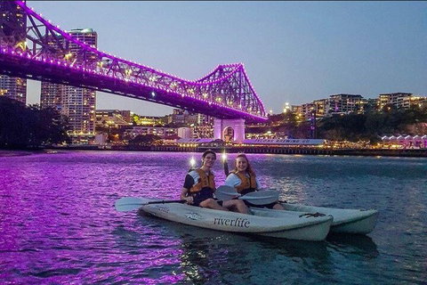 Brisbane Kayak Tour - Gold Coast Attractions 4