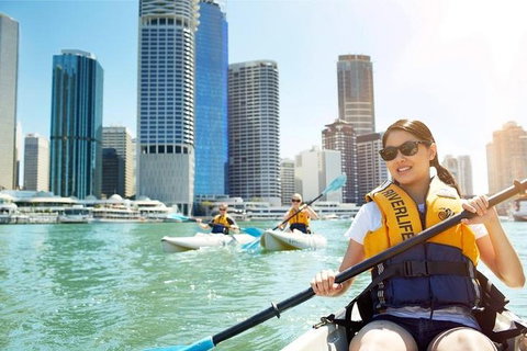 Brisbane Kayak Tour - Gold Coast Attractions 5