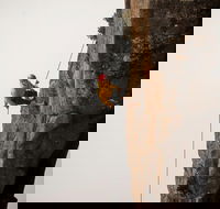 100 Metre Abseil Mount Wellington Hobart