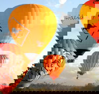 Natural Bridge  Springbrook Waterfalls Tour  Hot Air Balloon with Breakfast - Gold Coast Attractions