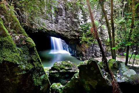 Natural Bridge & Springbrook Waterfalls Tour + Hot Air Balloon With Breakfast - Gold Coast Attractions 4