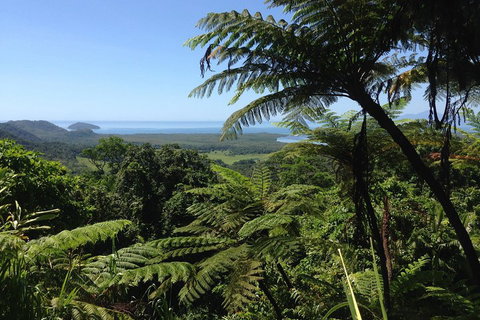 Daintree And Cape Tribulation Full Day Guided Tour - Gold Coast Attractions 2