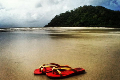 Daintree And Cape Tribulation Full Day Guided Tour - Gold Coast Attractions 4