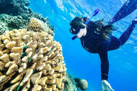 Green Island Day Trip From Cairns - Gold Coast Attractions 1