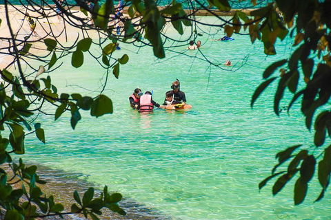Green Island Day Trip From Cairns - Gold Coast Attractions 2