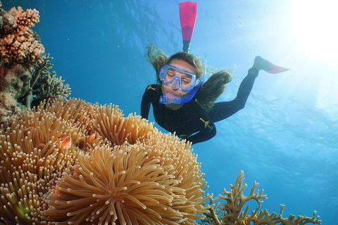 Quicksilver Outer Great Barrier Reef Snorkel Cruise From Port Douglas - Gold Coast Attractions 2