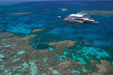 Quicksilver Outer Great Barrier Reef Snorkel Cruise From Port Douglas - Gold Coast Attractions 3