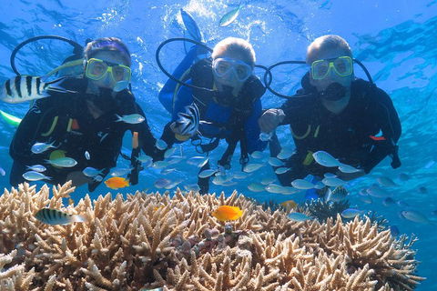 Quicksilver Outer Great Barrier Reef Snorkel Cruise From Port Douglas - Gold Coast Attractions 4