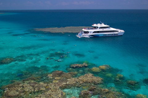 Silversonic Outer Great Barrier Reef Dive And Snorkel Cruise From Port Douglas - Gold Coast Attractions 2