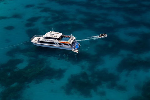 Quicksilver Dive 4 Day PADI Learn To Dive Course - Gold Coast Attractions 1