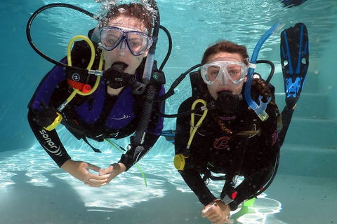 Quicksilver Dive 4 Day PADI Learn To Dive Course - Gold Coast Attractions 2