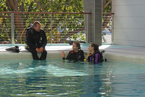 Quicksilver Dive 4 Day PADI Learn To Dive Course - Gold Coast Attractions 3
