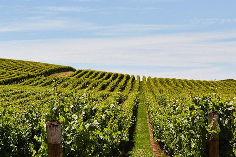 West Tamar Wine Tour - Gold Coast Attractions 2