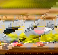 Launceston Private Charter Service - Gold Coast Attractions