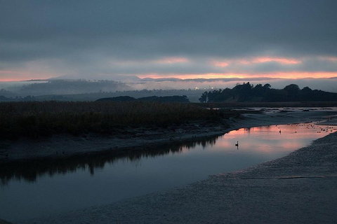 Launceston Private Charter Service - Gold Coast Attractions 1