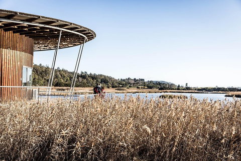 Launceston Private Charter Service - Gold Coast Attractions 2