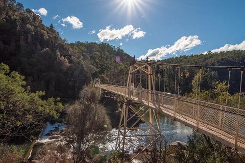 Launceston Private Charter Service - Gold Coast Attractions 5