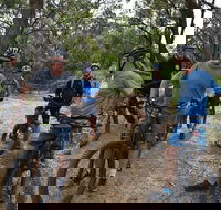 Fully guided E-Mountain Bike Tour on the beautiful Mornington Peninsula. - Gold Coast Attractions