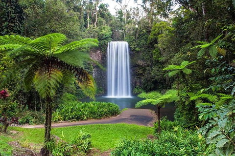 Cairns & Port Douglas All-Inclusive 7 Days Touring Package - Gold Coast Attractions 2