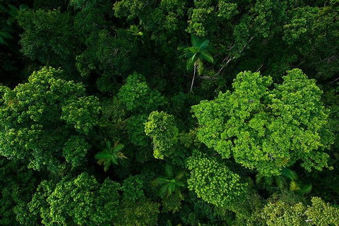 Cairns & Port Douglas All-Inclusive 7 Days Touring Package - Gold Coast Attractions 4