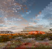 Uluru Kata Tjuta and Kings Canyon Camping Safari from Alice Springs