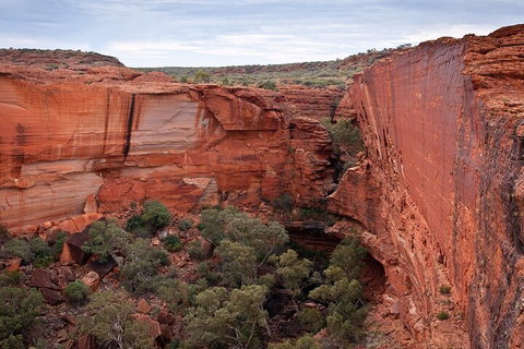 Uluru, Kata Tjuta And Kings Canyon Camping Safari From Ayers Rock - Gold Coast Attractions 1