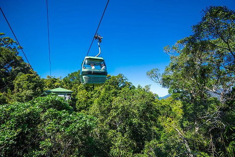 Skyrail Rainforest Cableway Day Trip From Cairns - Gold Coast Attractions 1