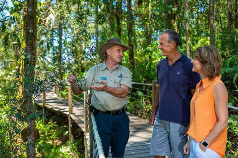 Kuranda Scenic Railway Day Trip From Cairns - Gold Coast Attractions 1