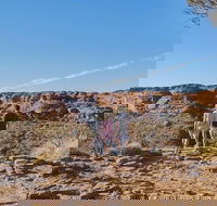 The Amazing Kings Canyon 4-Hours Walking Tour and Hike - Gold Coast Attractions