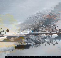 3.5 Hours Walking Tour to Cataract Gorge with Local Guide - Gold Coast Attractions