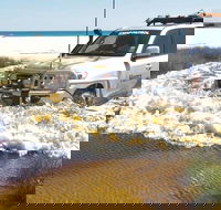 Full-Day Moreton Island 4x4 Sightseeing Tour - Gold Coast Attractions