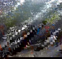 Active Day Tour One-Way from Launceston to Hobart via Wineglass Bay - Gold Coast Attractions