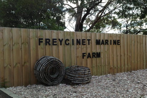 Active Day Tour One-Way From Launceston To Hobart Via Wineglass Bay - Gold Coast Attractions 3