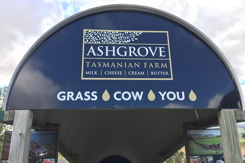 3-Day Tasmania Combo: Launceston To Hobart Active Tour Including Cradle Mountain, Freycinet National Park And Port Arthur - Gold Coast Attractions 4