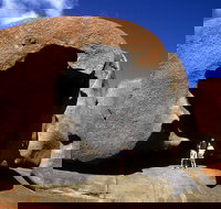 Full-Day Kangaroo Island Safari from Penneshaw - Gold Coast Attractions