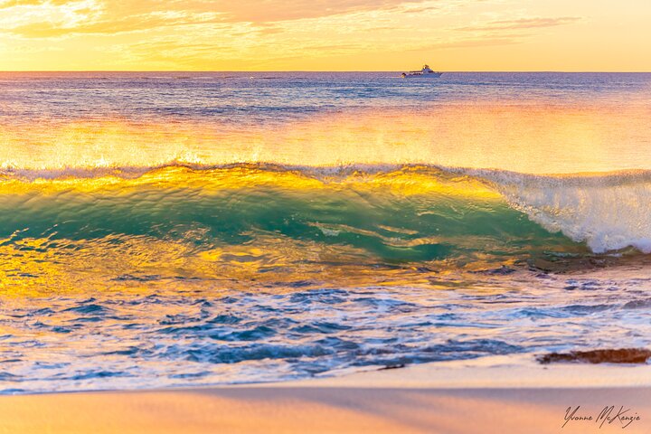  Gold Coast Attractions