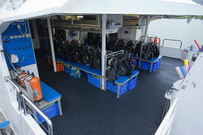 Silverswift Outer Great Barrier Reef Dive and Snorkel Cruise from Cairns