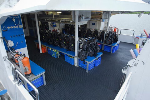 Silverswift Outer Great Barrier Reef Dive And Snorkel Cruise From Cairns - Gold Coast Attractions 0