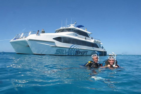 Silverswift Outer Great Barrier Reef Dive And Snorkel Cruise From Cairns - Gold Coast Attractions 4
