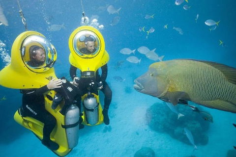 Great Barrier Reef Adventure From Cairns - Gold Coast Attractions 2