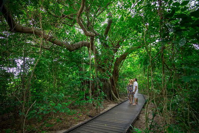 Green Island Eco Adventure from Cairns