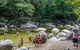Cape Tribulation, Mossman Gorge, And Daintree Rainforest Day Trip From Cairns Or Port Douglas - thumb 1